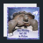 Tortue - Drôle carte d'anniversaire<br><div class="desc">Une petite carte mignonne vous permet de mettre un chevalet et de le placer sur un manteau ou un bureau.</div>