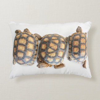 Tortue du désert / Coussin de tortue