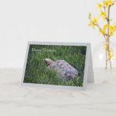 Tortue du désert en Grass vert Carte de voeux (Fleur jaune)