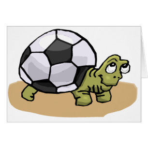 Tortue du football