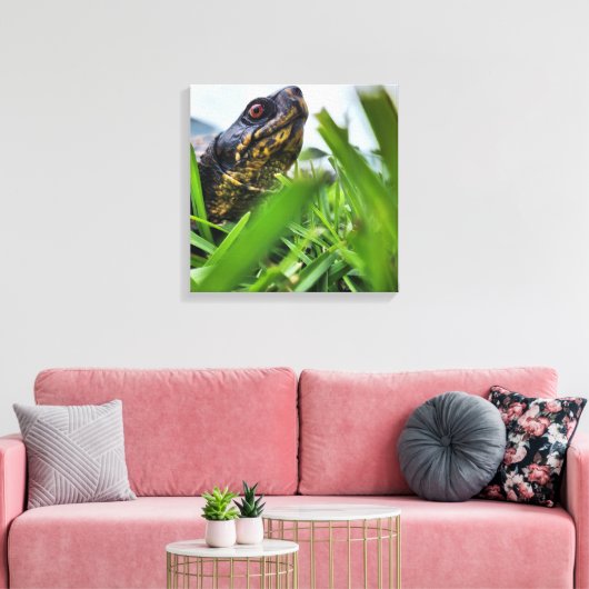 Tortue en toile gros plan (Insitu(Salon))