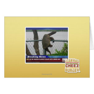 Tortue en voie de disparition