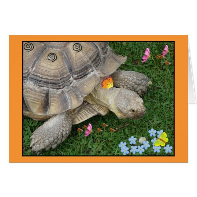 tortue et fleurs (Devant horizontal)