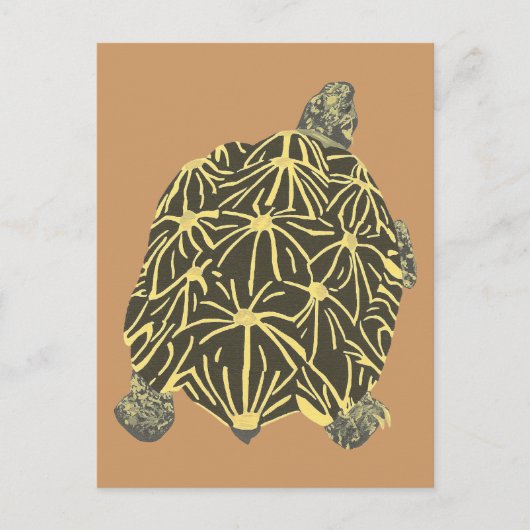 Tortue étoile noire et jaune, peinture cartes post (Devant)