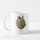 Tortue minuscule qui rampe du côté de la Mug (Gauche)