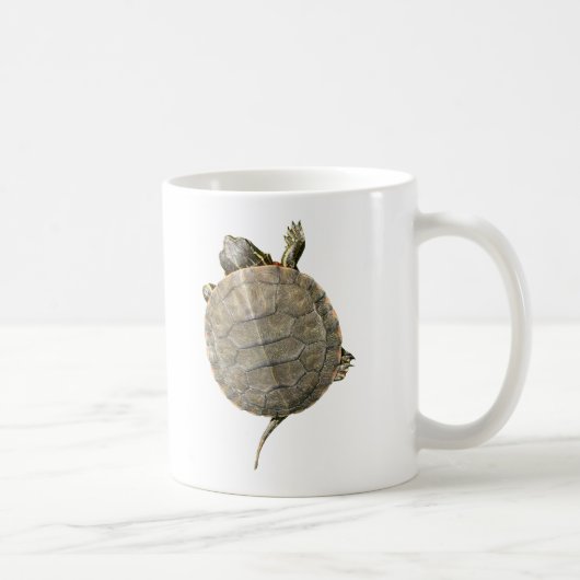Tortue minuscule qui rampe du côté de la Mug (Droite)