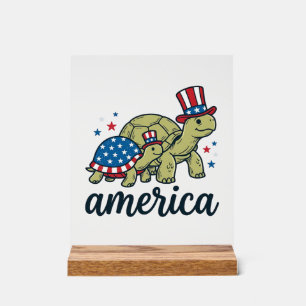 Tortue Patriotique Amérique Gravure Vintage Design