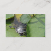 Tortue peinte bébé sur Lilypad Carte de visite (Dos)