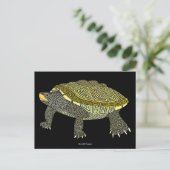 Tortue serpentine (noire) - Carte postale (Debout devant)