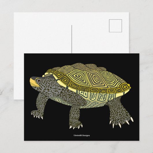 Tortue serpentine (noire) - Carte postale (Devant / Derrière)