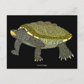 Tortue serpentine (noire) - Carte postale (Devant)