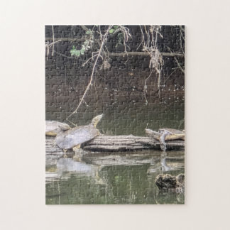 Tortue sur un Tronc Puzzle
