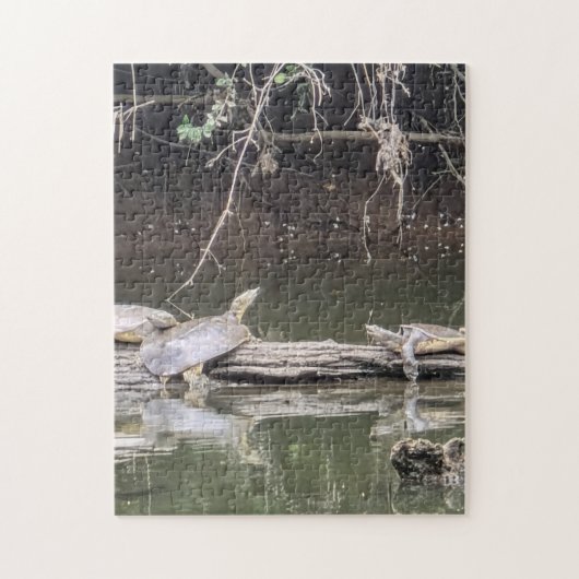 Tortue sur un Tronc Puzzle (Vertical)
