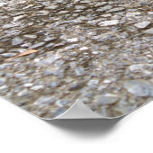 Tortue sur une affiche d'animal de mission (Coin)