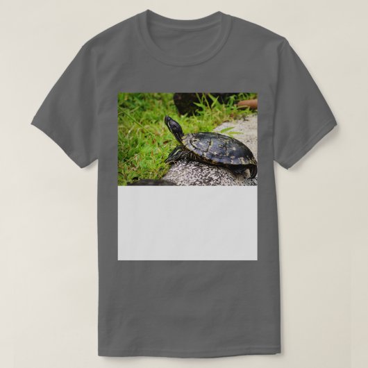 tortue TShirt 1 (Design devant)