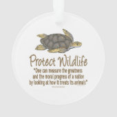 Tortues de mer (dos)