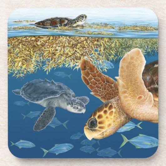 Tortues de mer dans des dessous de verre d'habitat (Devant)