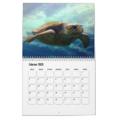 Tortues d'eau de calendrier (Feb 2026)