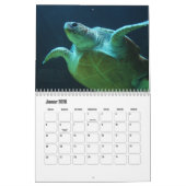 Tortues d'eau de calendrier (Jan 2026)