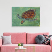 Tortues en toile (Insitu(Salon))