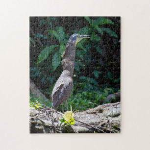 Tortuguero, Costa Rica - met merrie omgeven tijger Legpuzzel