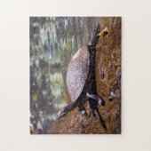 Tortuguero - Gele-buikschuifschildpad Legpuzzel (Verticaal)