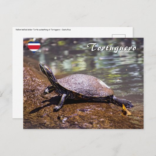 Tortuguero - roodwangschildpad briefkaart (Voorkant / Achterkant)