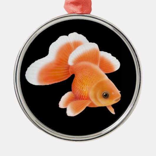 Tosakin Fantail Goldfish Ornament (Voorkant)