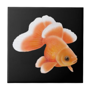 Tosakin Fantail Goldfish Tile Tegeltje