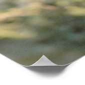 Toscaanse druiven poster (Hoek)