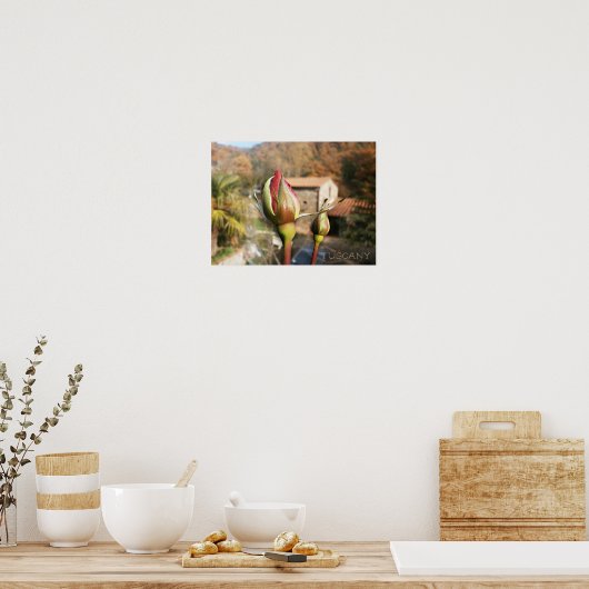 Toscaanse herfst roos. Toscane. Poster (Keuken)