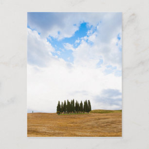 Toscane cyperbomen briefkaart