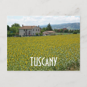 Toscane heuvellandschap zonnebloem veld ansichtkaa briefkaart