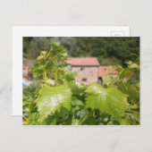 Toscane. Italië. Cortona. Briefkaart (Voorkant / Achterkant)