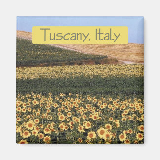 Toscane Italië Reizen Souvenir Foto Koelkast Magne Magneet