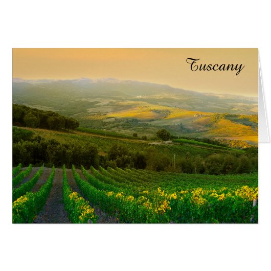 Toscane Italie Vignoble italien Photo (Devant horizontal)