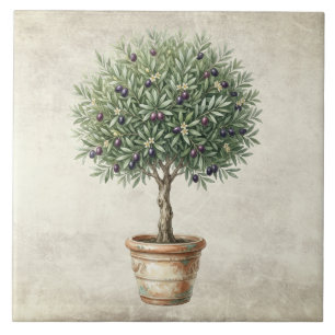 Toscane Olijf Topiary Mediterraan Tegeltje