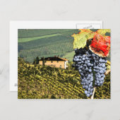 Toscane Vineyard Briefkaart (Voorkant / Achterkant)