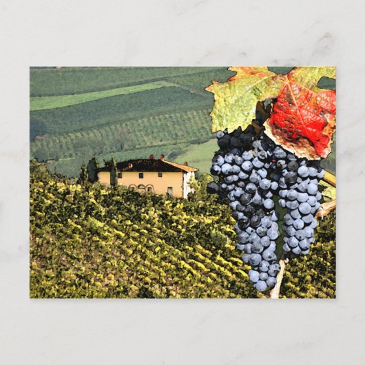 Toscane Vineyard Briefkaart (Voorkant)