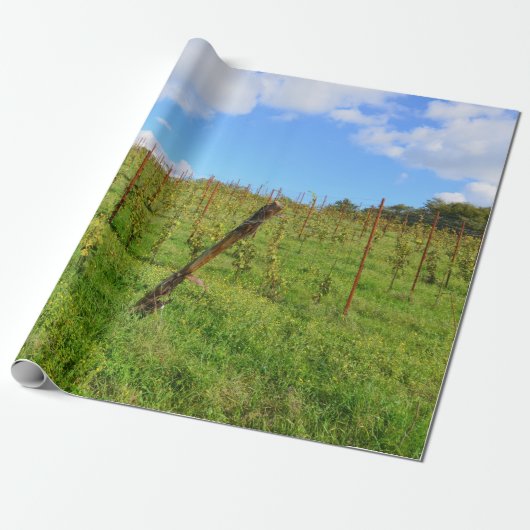 Toscane Vineyard Cadeaupapier (Uitgerold)