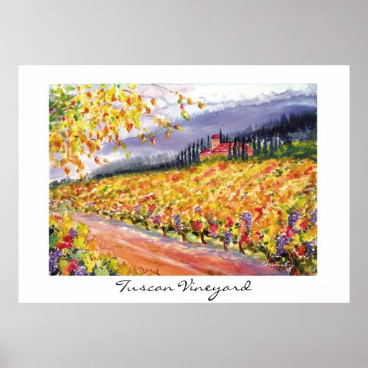 Toscane Vineyard - poster (Voorkant)