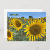 Toscane Zonnebloemen briefkaart (Voorkant / Achterkant)