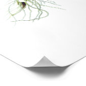 Tosilago farfarfara (Coltsfoot) Poster (Hoek)