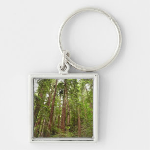 Tot aan de Redwoods I in Muir Woods National Monum Sleutelhanger