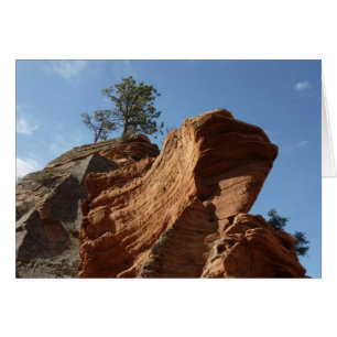 Tot Angel's Landing in Zion National Park