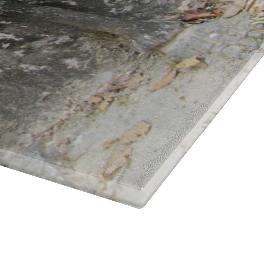 Tot de dood ons deelgenoot maakt ... Nong Khai, Th Snijplank (Hoek)