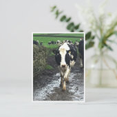 Tot de koeien thuis komen briefkaart (Staand voorkant)