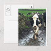 Tot de koeien thuis komen briefkaart (Voorkant / Achterkant)