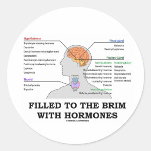 Tot de rand gevuld met hormonen (anatomie) ronde sticker