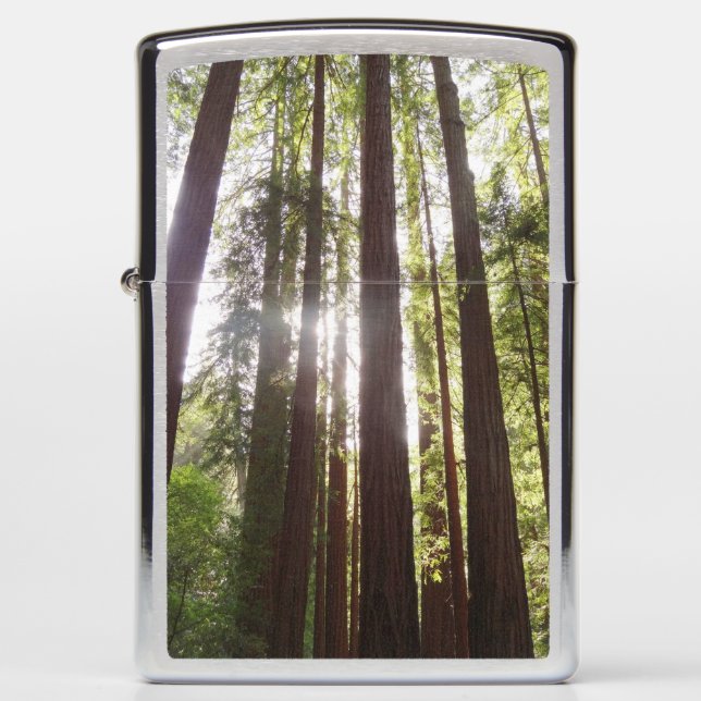 Tot de sequoia's in de ochtend (Voorkant)